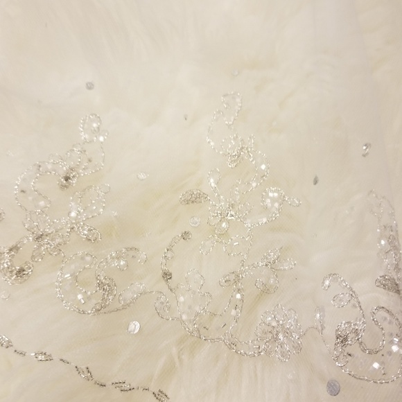Beautifully detailed bridal veil